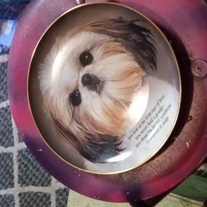 Cherished Shih Tzu, Danbury Mint, Eyes of Love Plate. Limited edition
